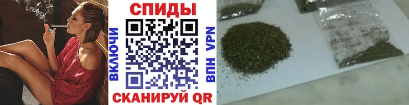 Бутират буратино  Новоаннинский 