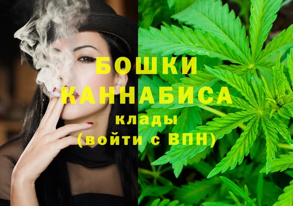 сатива Балахна