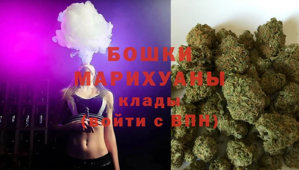 сатива Балахна