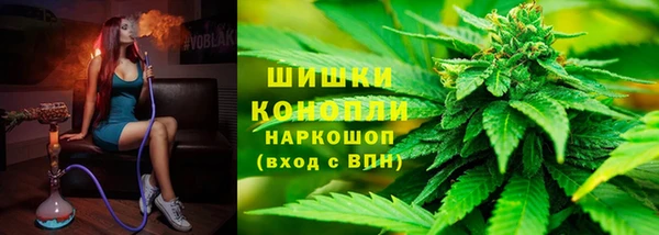 сатива Балахна