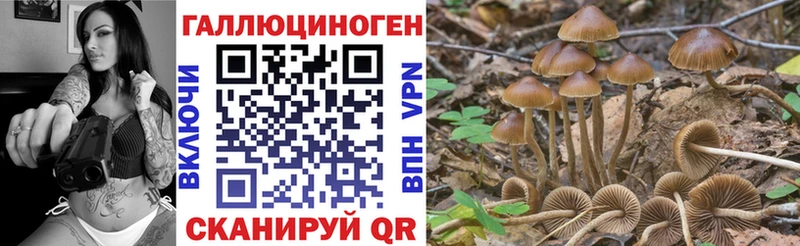 Галлюциногенные грибы мухоморы  наркотики  Новоаннинский 